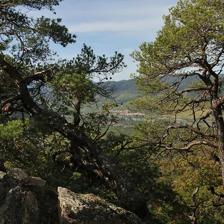 Landhaus-furth8 Furth bei Gottweig