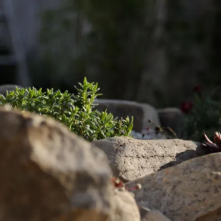 Landhaus-furth8 Furth bei Gottweig