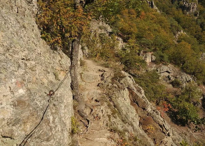 Landhaus-furth8 Bed and breakfast 3*