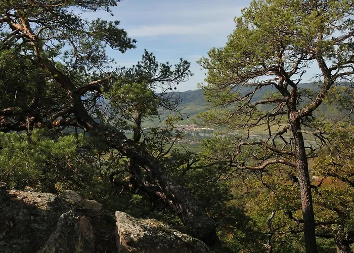 Landhaus-furth8 Furth bei Gottweig